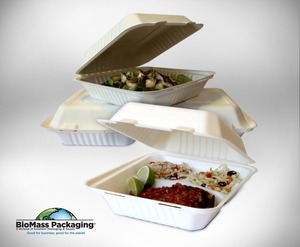 disposable take out packaging to go